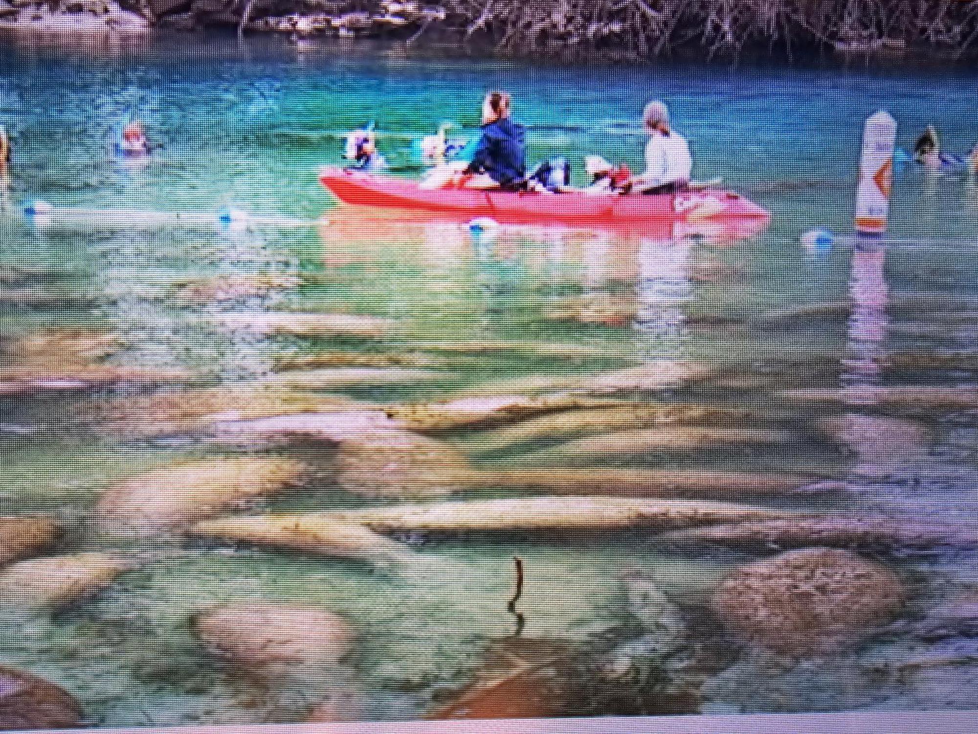 Manatee Watch Den Apartment Crystal River Luaran gambar